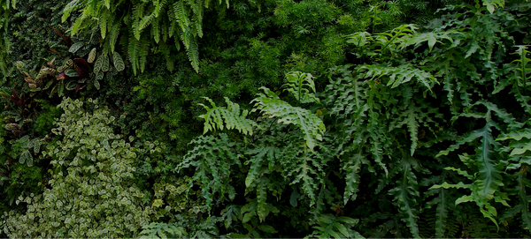 Vert Green - Jardins Verticais